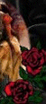 cmated22s2.gif (7117 bytes)
