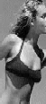 cmated43s1.gif (4215 bytes)