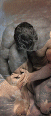 cmated9s1.gif (6505 bytes)