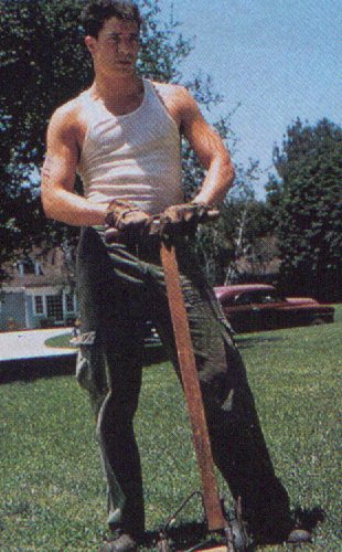 dig, baby, dig