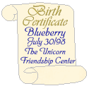 blueberry birth certif
