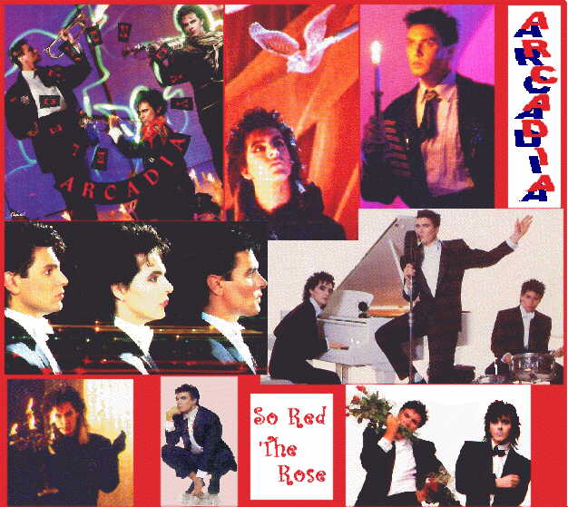 thumbnail of your picture #2