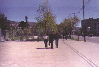 Siervos Inutiles 1