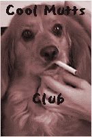 Cool Mutts Club