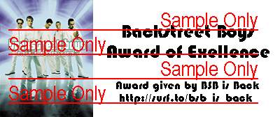 Award of Excellence from BSB is Back