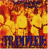 Trampled Comp