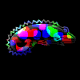 lizard