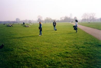 d110.jpg