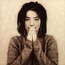 Bjork