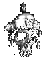 War Skull