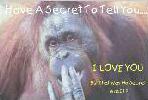secret