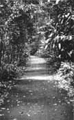 path
