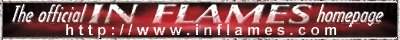 /user/IFbanner.jpg