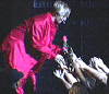 nicklive45.gif (28374 bytes)