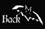 back bat