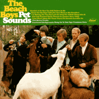Beach boys cover