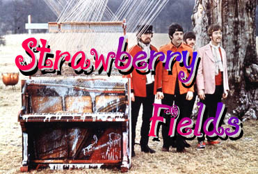 Strawberry Fields