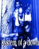 System
