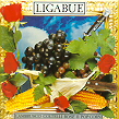 Lambrusco