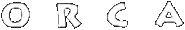 Orca