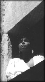 Robin Clark, 1986