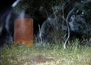 Ghost in the dark