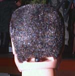 headeyeback.jpg (5586 bytes)