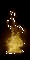 Torch1.gif (12181 bytes)