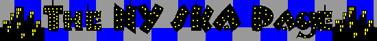 nysplogo.gif (3642 bytes)