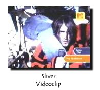 Sliver