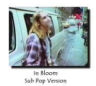 In Bloom versi�n 1