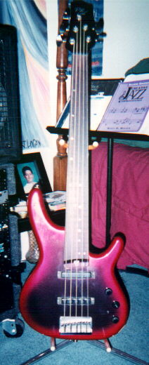 Hartfield 5 string bass-frets were pulled out by Ted Cromwell. Ted does grest work on guitars.