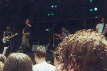 Donots