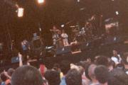 NoFx (photo taken by David Mannes)