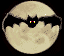 /user/abat7.gif