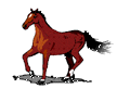 Star, My Cyber-Horse