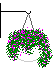 hanging plant