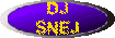 DJ sneJ Button