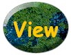 View it first!!