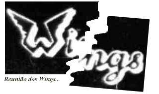 wingsr.jpg (7522 bytes)