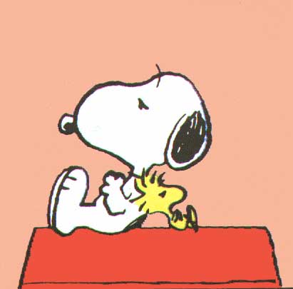 thumbnail of your picture #14