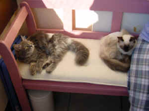 Kira & Lady