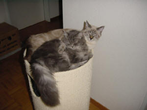 Grizzly & Kira