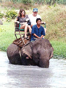 The walking on elefant back. Elefant is almost Ford Mustang for jungle