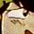 group_16.jpg