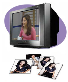 Welcome to the multimedia gallery