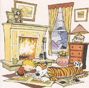 by the fire