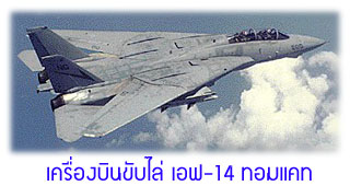 F-14 Tomcat