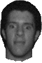 Abeefy