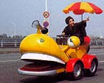 RoBo Car